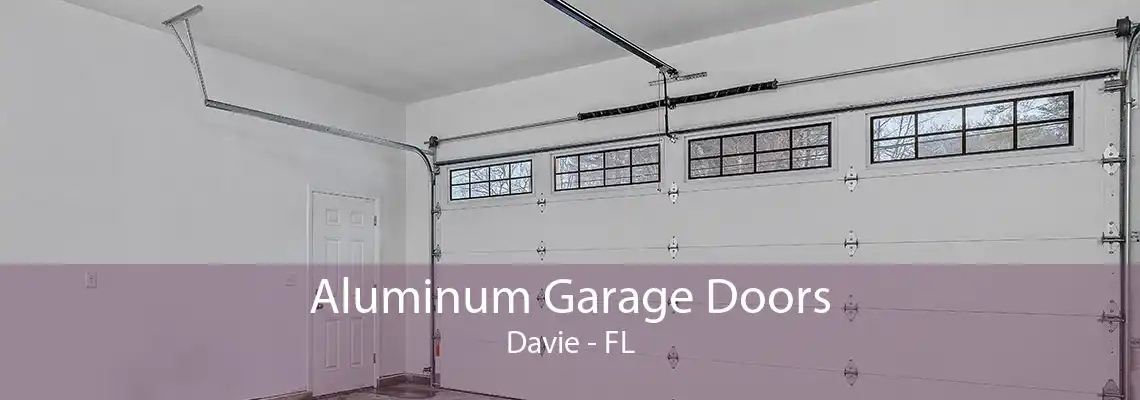 Aluminum Garage Doors Davie - FL