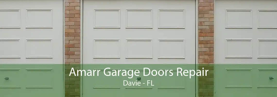 Amarr Garage Doors Repair Davie - FL