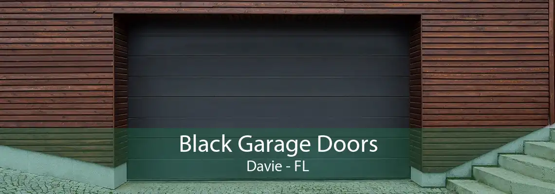 Black Garage Doors Davie - FL