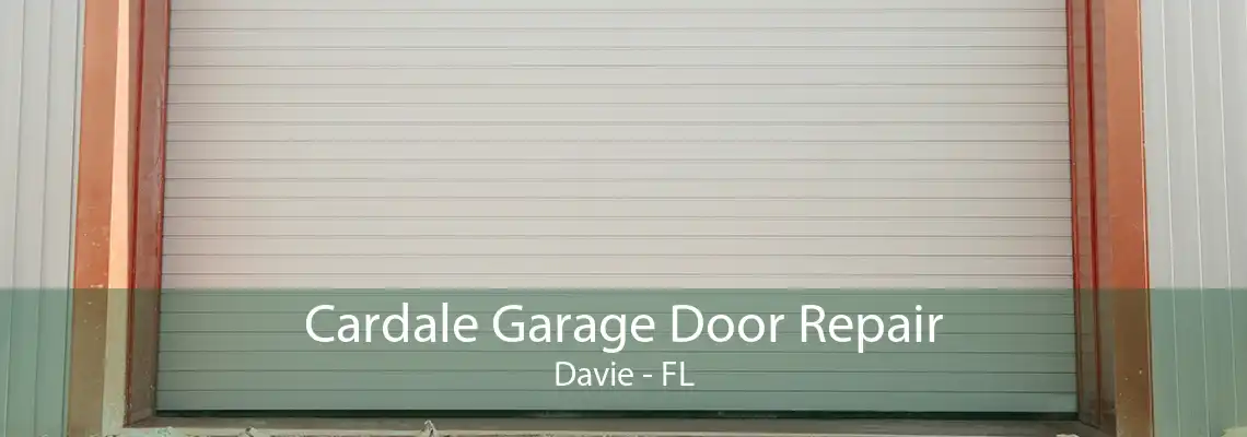 Cardale Garage Door Repair Davie - FL