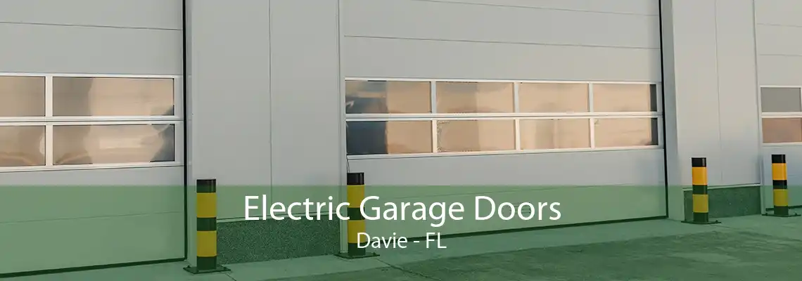 Electric Garage Doors Davie - FL