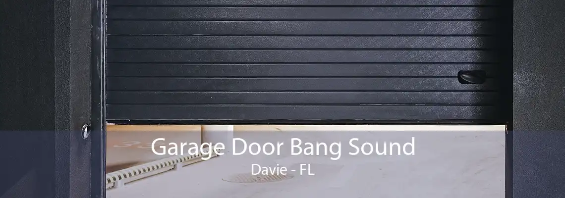 Garage Door Bang Sound Davie - FL