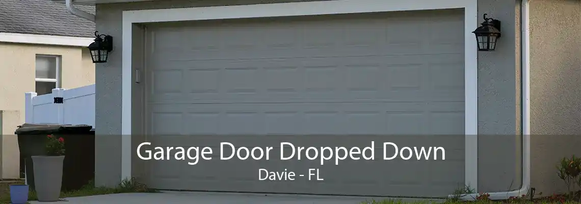 Garage Door Dropped Down Davie - FL