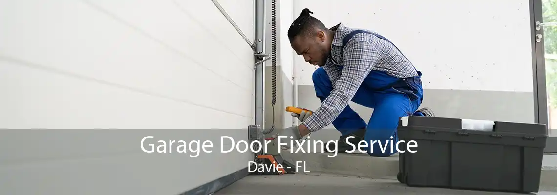 Garage Door Fixing Service Davie - FL