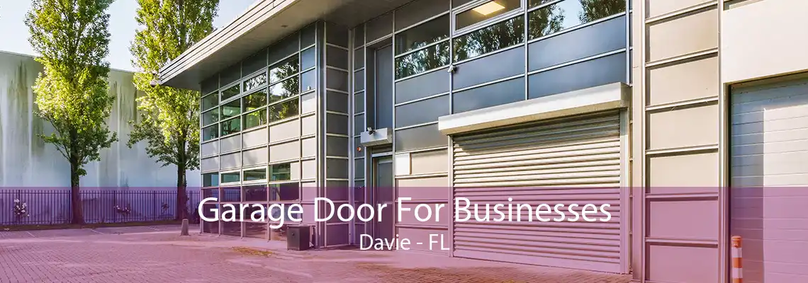 Garage Door For Businesses Davie - FL