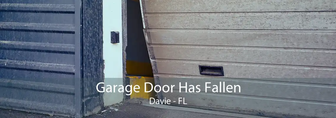 Garage Door Has Fallen Davie - FL