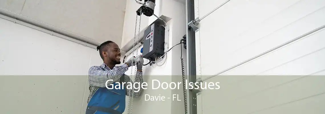 Garage Door Issues Davie - FL