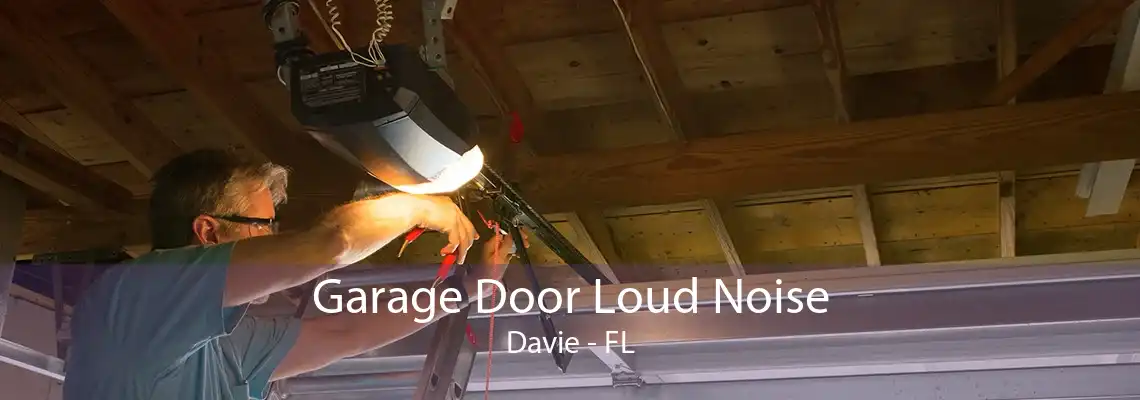 Garage Door Loud Noise Davie - FL