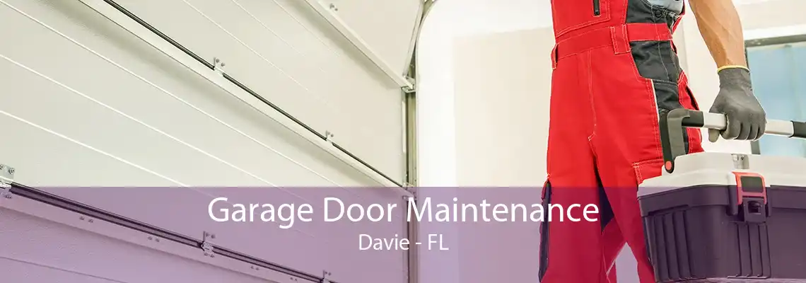 Garage Door Maintenance Davie - FL