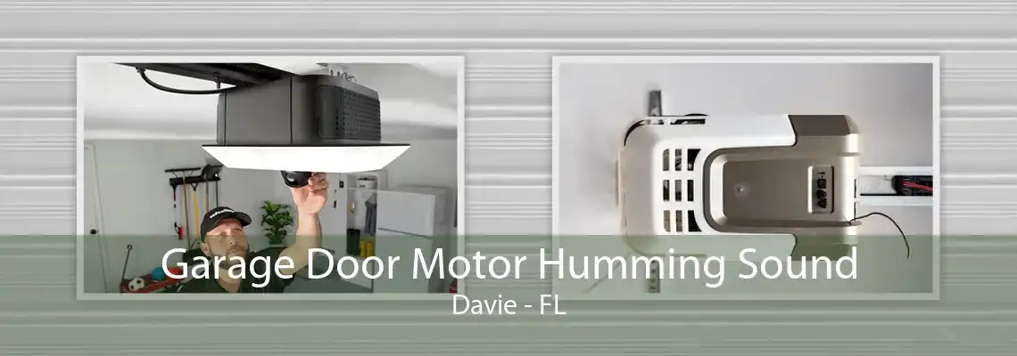 Garage Door Motor Humming Sound Davie - FL