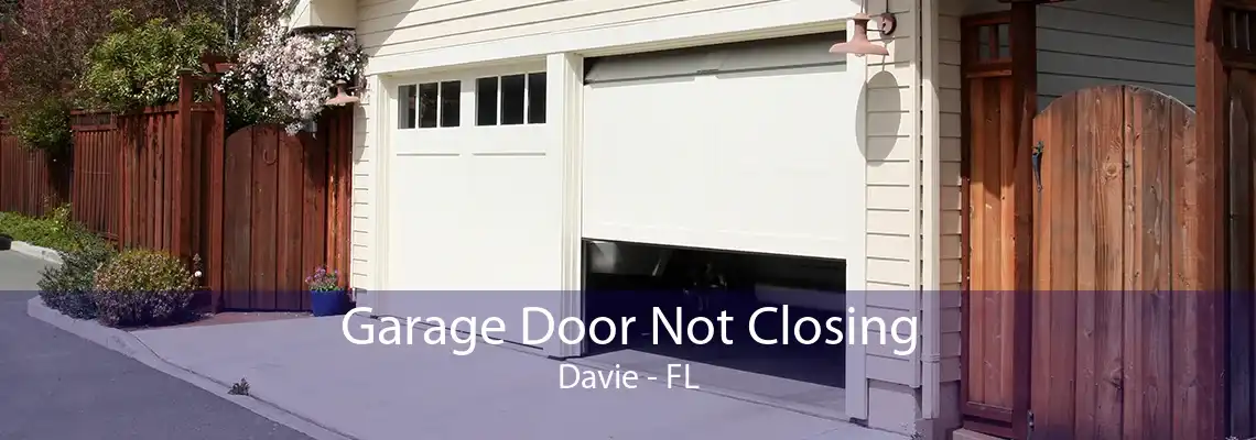 Garage Door Not Closing Davie - FL