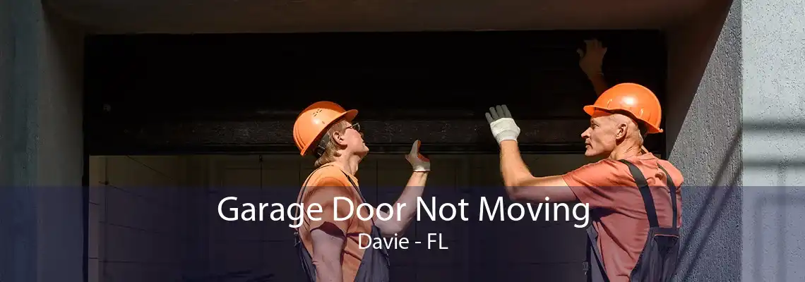 Garage Door Not Moving Davie - FL