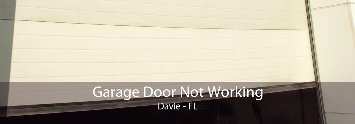 Garage Door Not Working Davie - FL