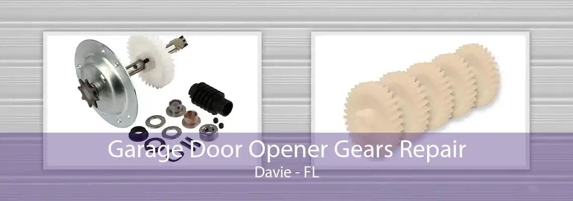 Garage Door Opener Gears Repair Davie - FL