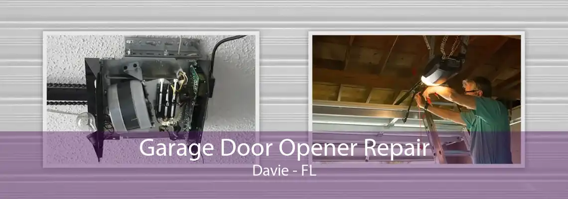 Garage Door Opener Repair Davie - FL