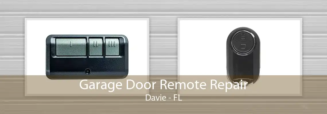 Garage Door Remote Repair Davie - FL