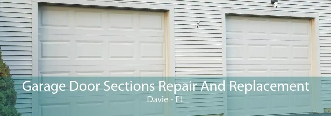 Garage Door Sections Repair And Replacement Davie - FL