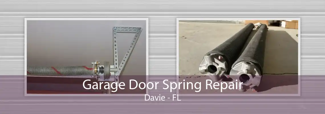 Garage Door Spring Repair Davie - FL