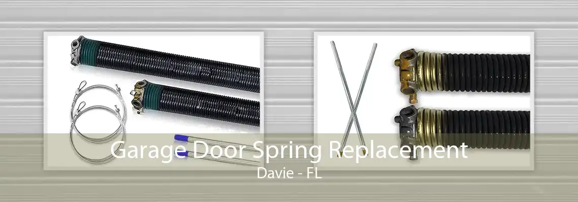 Garage Door Spring Replacement Davie - FL