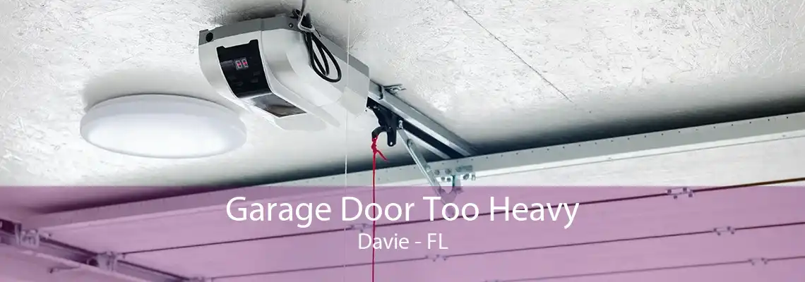 Garage Door Too Heavy Davie - FL