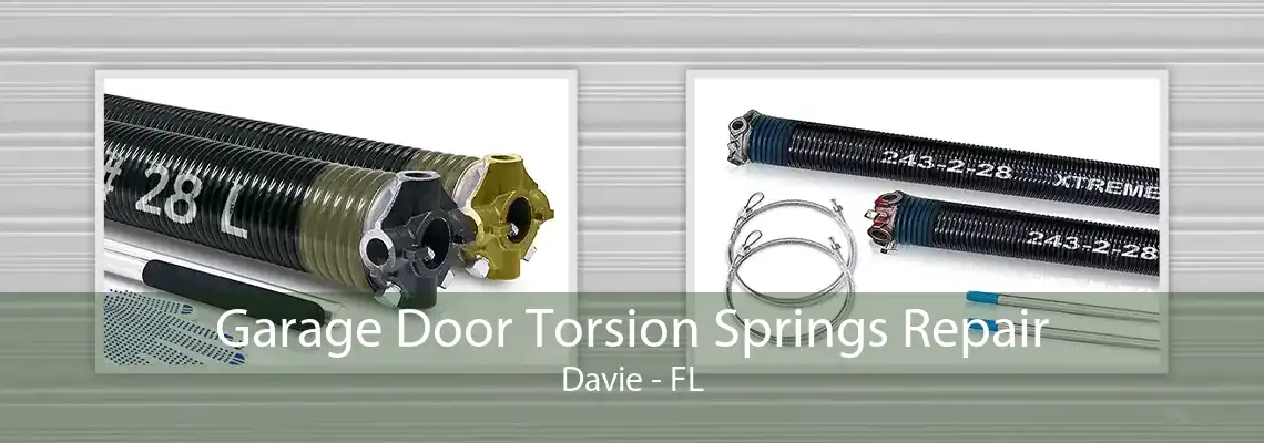 Garage Door Torsion Springs Repair Davie - FL