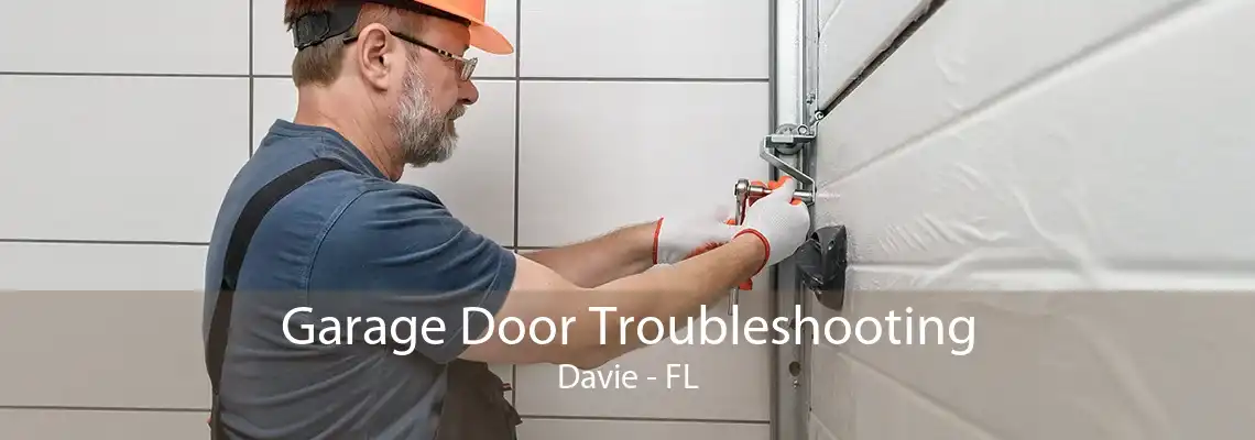 Garage Door Troubleshooting Davie - FL