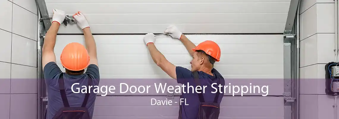 Garage Door Weather Stripping Davie - FL