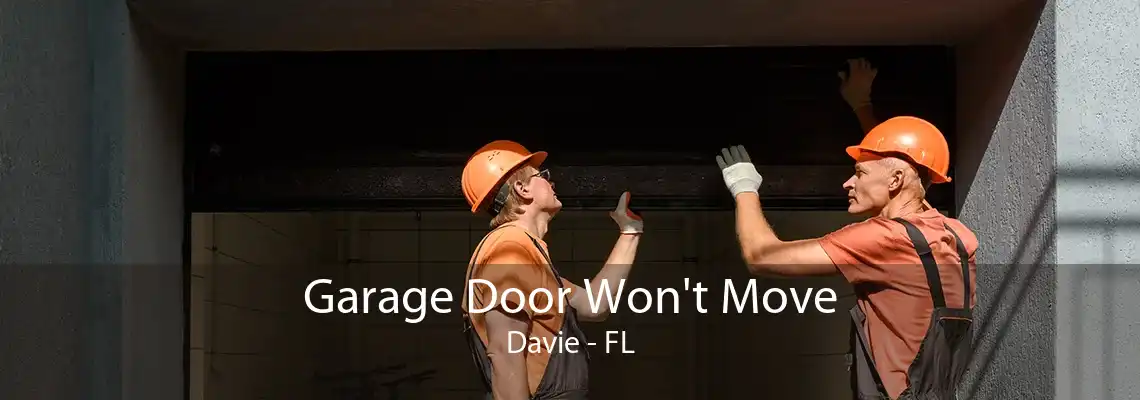 Garage Door Won't Move Davie - FL