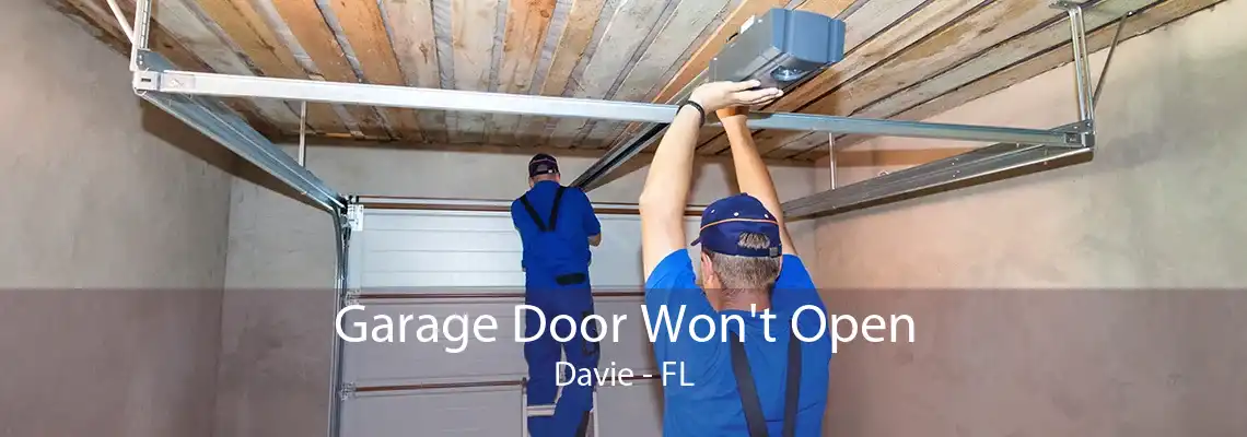 Garage Door Won't Open Davie - FL