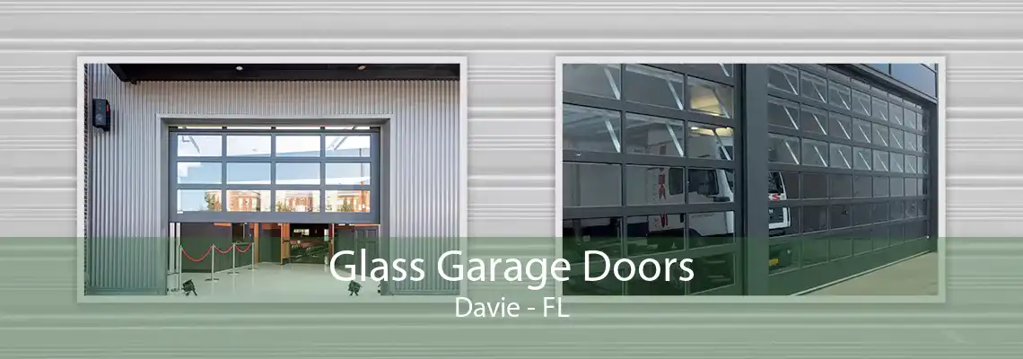 Glass Garage Doors Davie - FL