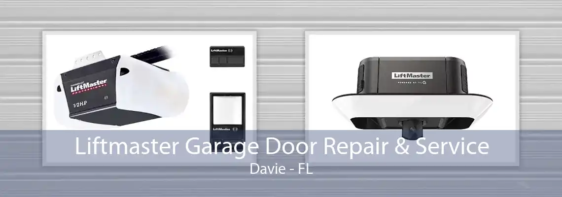 Liftmaster Garage Door Repair & Service Davie - FL