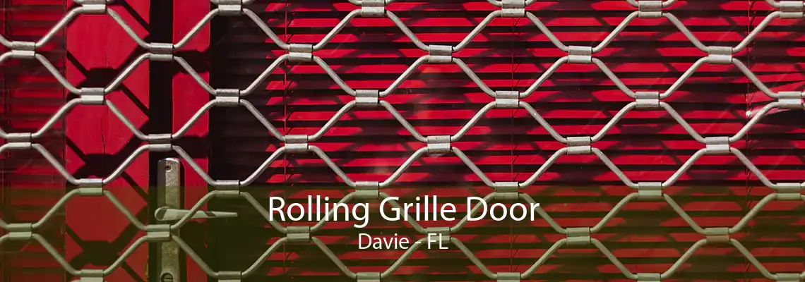 Rolling Grille Door Davie - FL