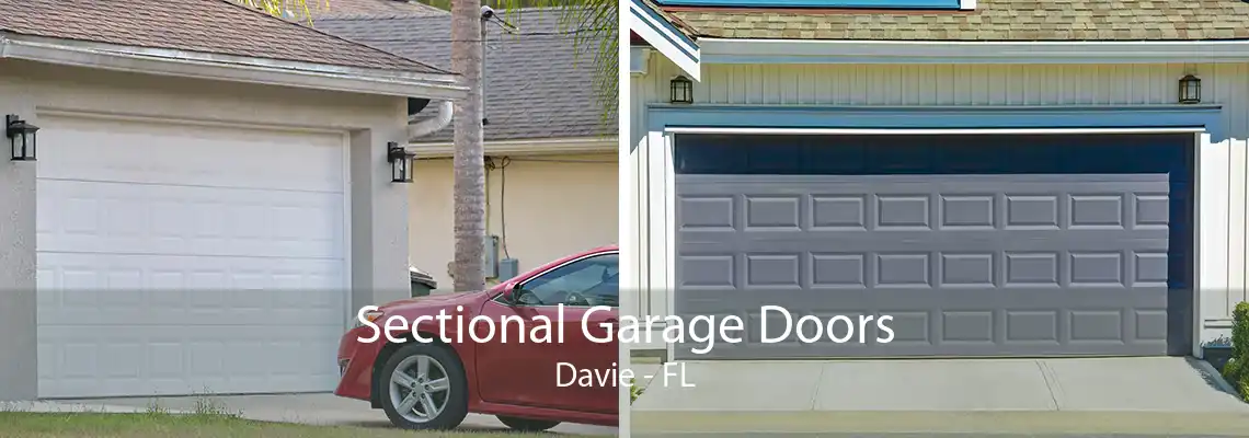 Sectional Garage Doors Davie - FL